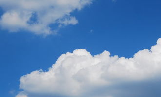 我變成了白云作文開頭