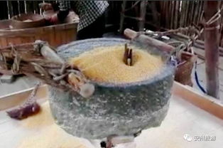 春日正當(dāng)時(shí)作文開頭