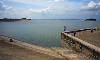 描寫水庫作文開頭