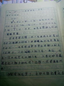 作文童最難忘的一件事450字作文開頭