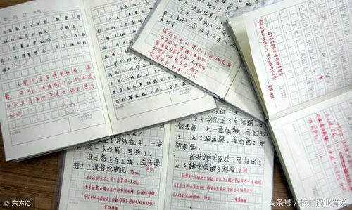 暑假作文寫觀后感開頭和結(jié)尾