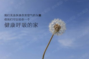 懷念有你的日子作文開頭