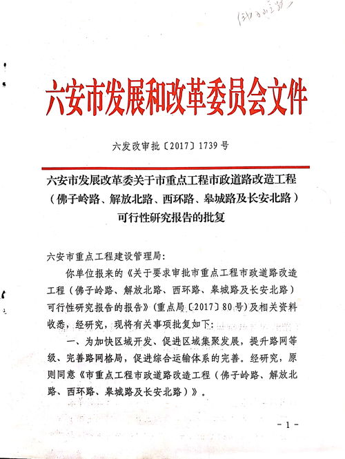 項目實施可行性報告(可行性報告)