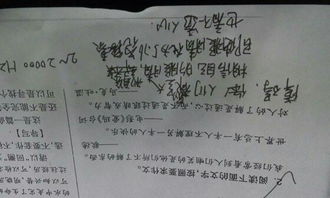 作文雪說600字作文開頭