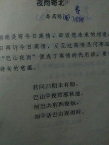 作文《藏在語文書里的秘密》的開頭