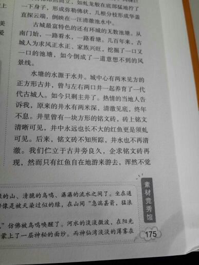 以陪伴為題開頭寫景600字作文