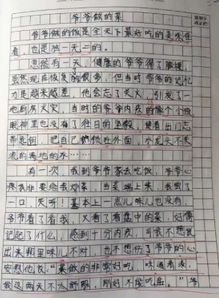 十五歲的她作文開頭