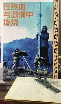 砥礪奮斗不負芳華作文,奮斗不負青春芳華作文800字,青春向陽不負芳華作文