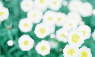 刻在心靈深處的記憶作文600字作文開頭