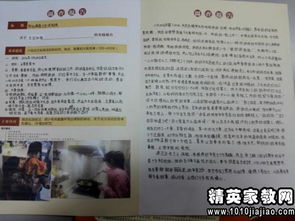 大學(xué)生社會實踐調(diào)查報告范文800字(大學(xué)生社會實踐調(diào)查報告范文)