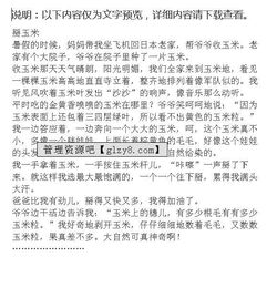 第一次掰玉米作文開頭