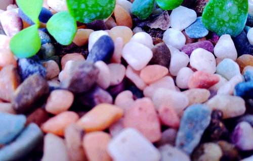 關(guān)于幫助而感動(dòng)的作文開頭結(jié)尾怎么寫