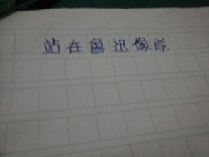 流浪的太陽(yáng)作文300字左右開(kāi)頭