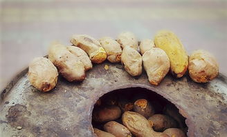 烤地瓜作文開(kāi)頭