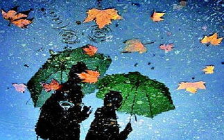 秋雨的作文的開(kāi)頭