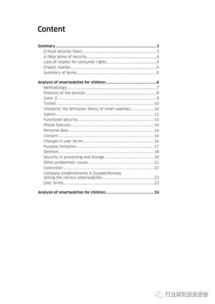 手表市場調(diào)查報告范文(手表 手表作文700字)