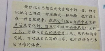 開頭的作文神奇的小草