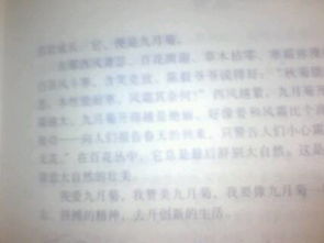 以美麗為題的600字作文開(kāi)頭