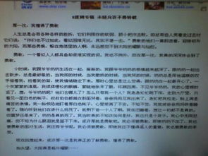 那次我懂得了寬容作文開頭結(jié)尾