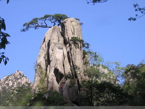 黃山奇石作文的開頭