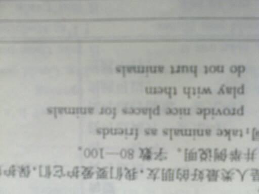 作文,英文,小動(dòng)物,開(kāi)頭