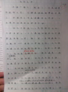 糖畫作文開頭是今天039