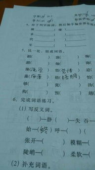 未來(lái)房屋作文開頭結(jié)尾