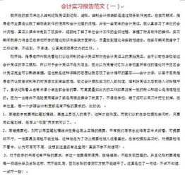 財(cái)務(wù)會計(jì)實(shí)踐總結(jié)報(bào)告范文(財(cái)務(wù)會計(jì)個人實(shí)習(xí)總結(jié)報(bào)告)