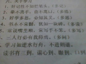 以名人名言的開頭的作文