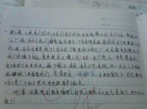 有趣的事600字作文開頭