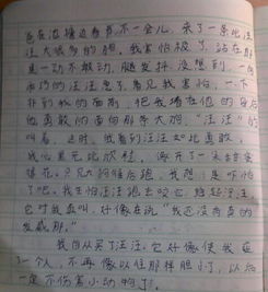 動(dòng)物充滿愛(ài)的作文600字作文開(kāi)頭