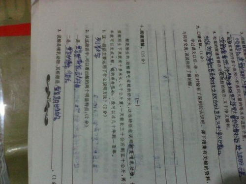 五級(jí)下冊(cè)作文他笑了的開頭