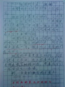 校園的秋天初一500字作文開頭結(jié)尾