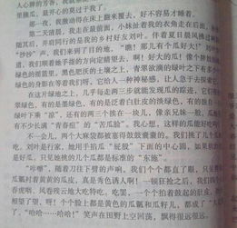 鄉(xiāng)村作文400字四級(jí)開(kāi)頭