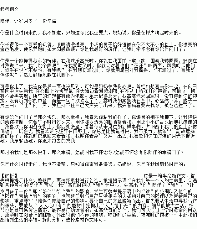 陪伴讓我多了一分溫暖作文開頭結(jié)尾