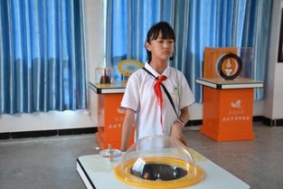 我是小小講解員(我是小小講解員)