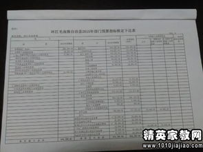 經費自查報告(經費自查報告)