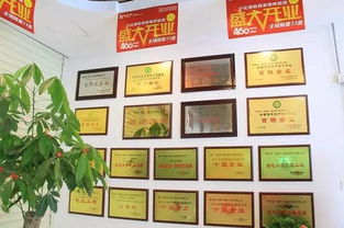 我有一個(gè)溫馨的家作文開頭