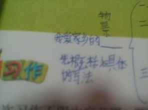 曬我家鄉(xiāng)作文開頭