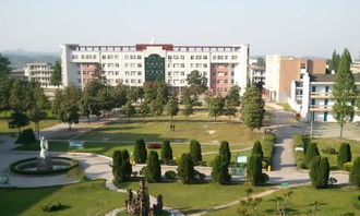 生活變好作文開頭和結(jié)尾怎么寫