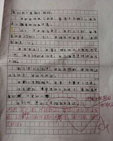 幸福是什么開頭作文600字作文