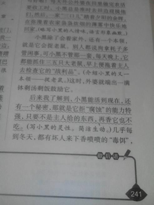 關(guān)于寫小動物的作文 (關(guān)于寫小動物的作文)