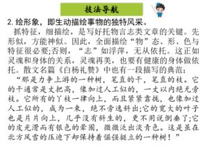 托物言志作文開頭滿分