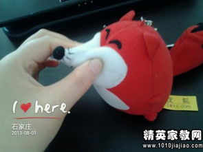 致農(nóng)牧局的感謝信(致農(nóng)牧局的一封感謝信)