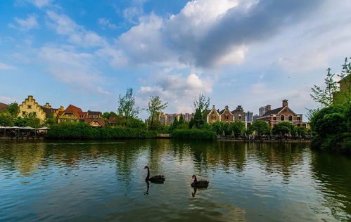 推薦南湖公園的作文開頭