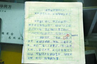 姐姐的愛(ài)作文優(yōu)美開(kāi)頭