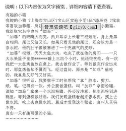 我的玩具貓作文開(kāi)頭