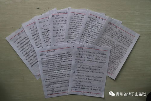 親情體驗感悟的作文的開頭