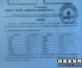 關(guān)于規(guī)范辦學(xué)自查報告(關(guān)于規(guī)范辦學(xué)行為的自查報告)