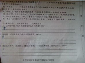 忘不了那個(gè)人作文500字作文開(kāi)頭